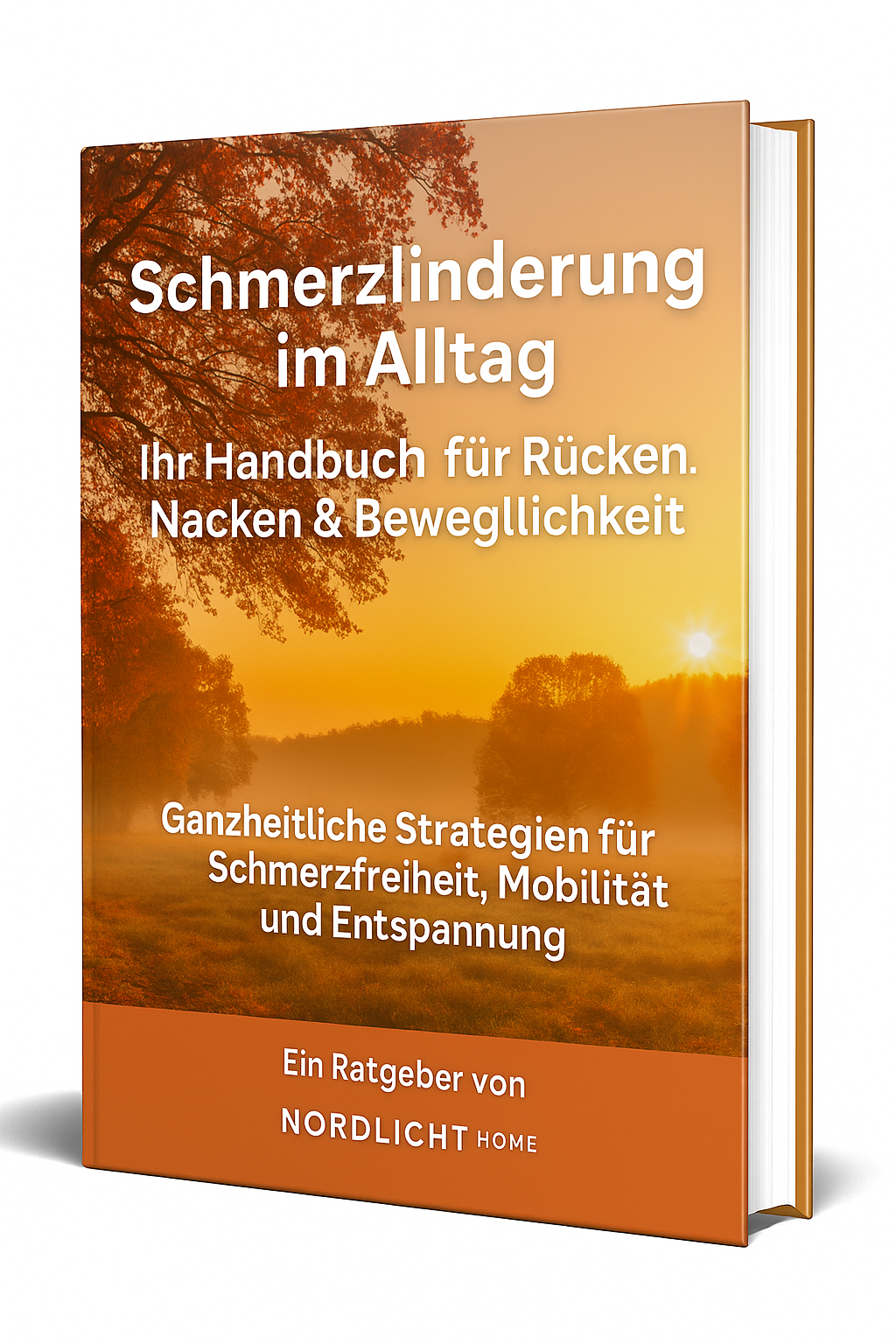 RELIVIO™ – 4-in-1 Nacken‑Entlastungssystem mit Wärme, EMS & Massage